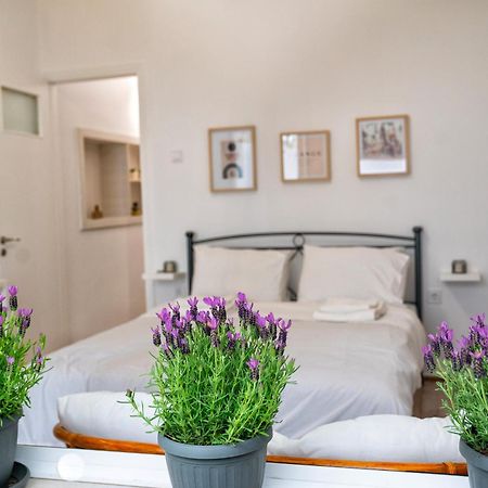 Lux Garden Apartment Near Acropolis In The Heart Of Atény Exteriér fotografie